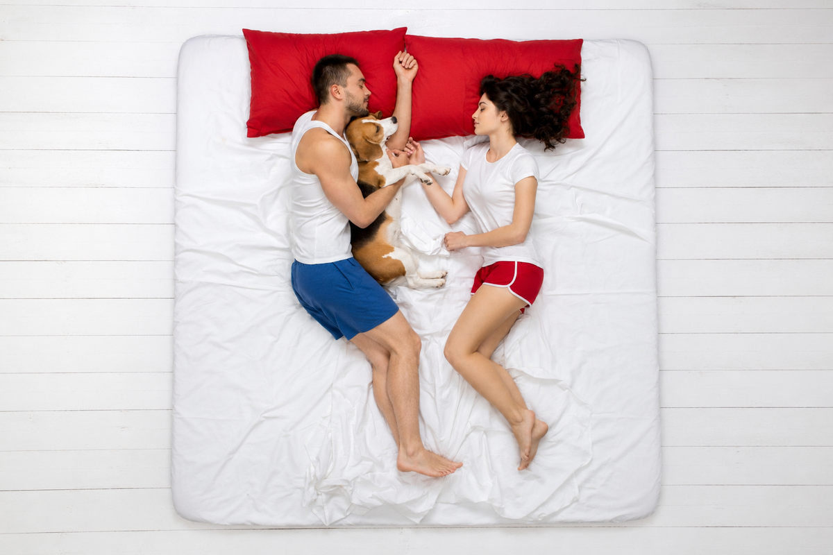 Premium mattress fabric detail