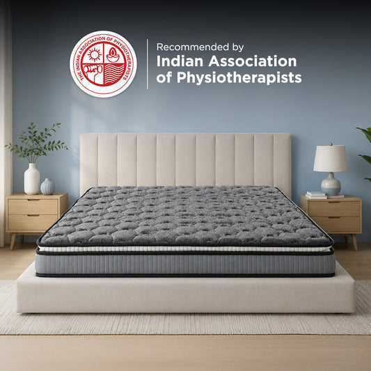 Nilkamal Sleep Comfispine Pillow-Top Mattress
