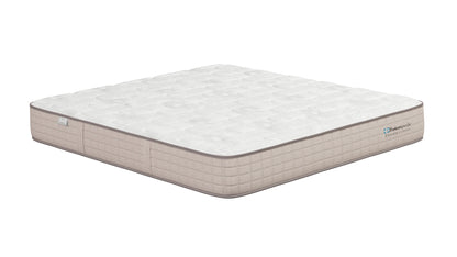 Sealy Elevate Firm Mattress - view 5
