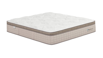 Sealy Elevate Latex Medium Mattress - view 5