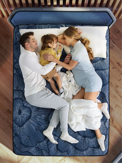 Perfect Sleeper - Hybrid
