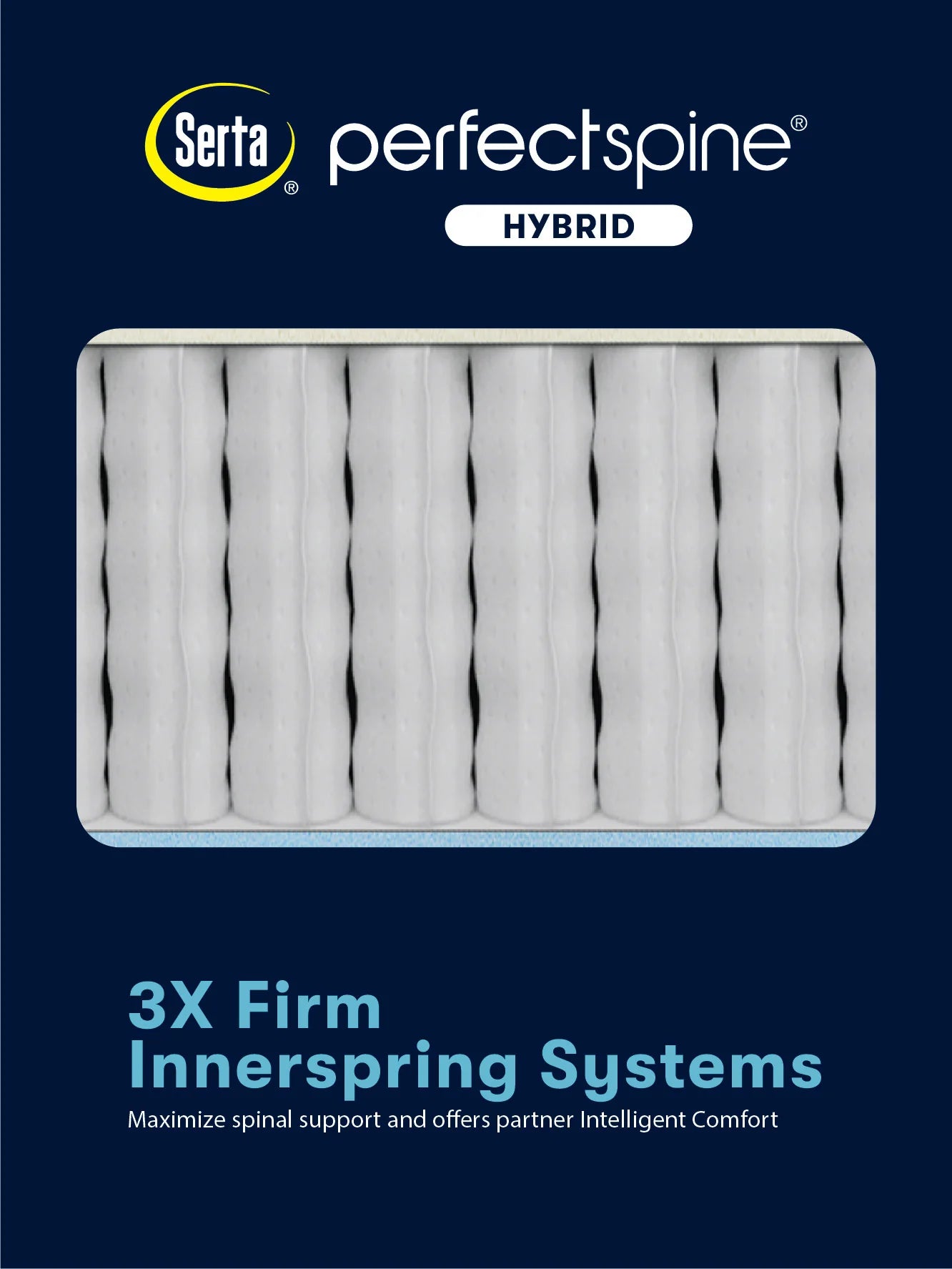 Perfect Spine - Hybrid
