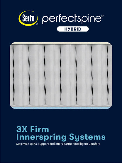 Perfect Spine - Hybrid