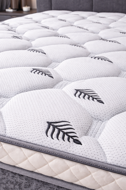 Sleep america comfort Sleeper
