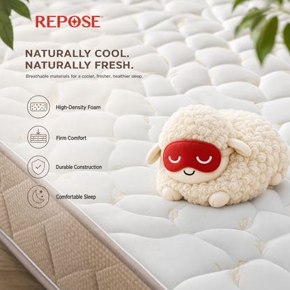 Repose Foamcozy Mattress - view 3