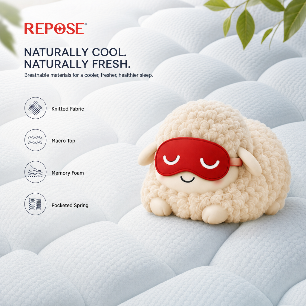 Repose Spine-Pro Macro-Top Mattress - view 4