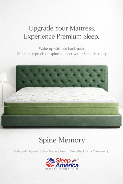 Sleep america Spine memory