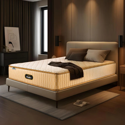 Springfit ProActiv Back Mattress