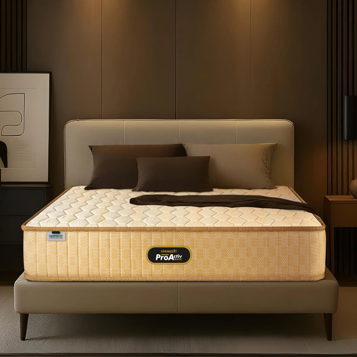 Springfit ProActiv Back Mattress - view 3